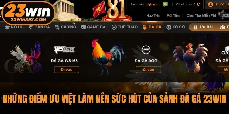 Những điểm ưu việt làm nên sức hút của sảnh đá gà 23WIN